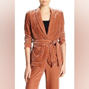 Joie Anasophia Vintage Rose Velvet Cardigan Jacket Blazer Women's M